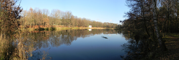reflection of trees in water