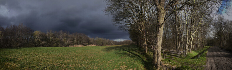 Fototapeta na wymiar Dark rainclouds and sunlight in landscape. Rheebruggen Uffelte Drente Netherlands. Drents Landschap. Panorama.