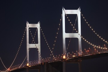 道の駅よしうみいきいき館から見た来島海峡大橋のライトアップ　愛媛県今治市大島側より