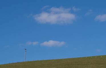 Fototapeta na wymiar Big sky and horizon with fence and telegraph pole. Sunny day, UK.