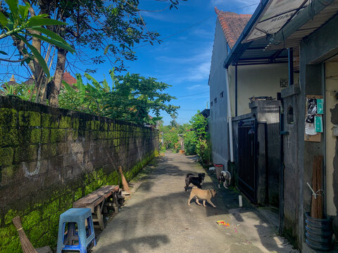 Batubulan, Bali, Indonesia (March 21, 2021): A small alley in front of a resident's house in a village in Gianyar, Bali
