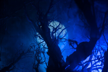 Spooky dark landscape showing silhouettes of trees in the swamp on misty night. Night mysterious...