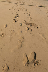 Obraz premium Human footprints on the beach sand (white sand).