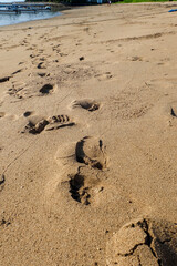 Human footprints on beach sand (white sand). Background of white sand with traces of us humans