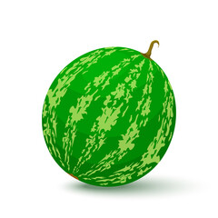 Watermelon icon in flat style. Isolated object. Watermelon logo. Vector illustration on white background