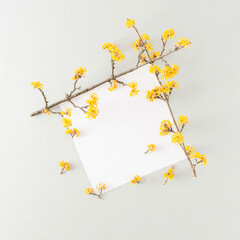 Two branches of yellow spring flowers and paper card note.  Minimal flat lay.