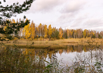 autumn landscape with a beautiful lake, colorful trees on the shore of the lake in autumn colors, reeds in the foreground, autumn