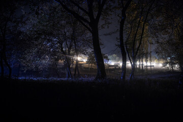 strange light in a dark forest at night. Silhouette of person standing in the dark forest with light. Dark night in forest at fog time. Surreal night forest scene. Horror halloween concept. Fairytale