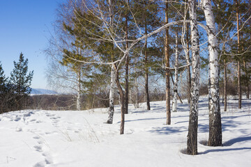 Tsaryov Kurgan, a part of the Volga-Sok Mountain system. A limestone quarry was exploited here once, now it's not in use and protected. Samara Region, Russia.