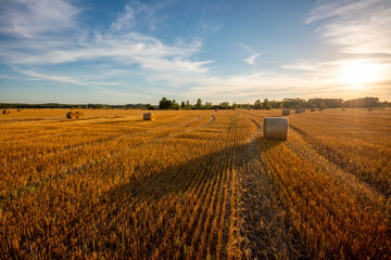 Late summer sunset landscape in wide field after harvesting, straw bales making shadows. Farming,...