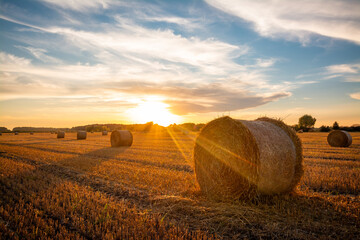 Beautiful bright sun rays under horizon over the field after harvesting. Straw bales outdoors on warm sunny summer evening. - Powered by Adobe
