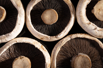 portobello mushrooms over dark background, background with mushrooms