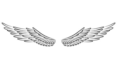 Vintage heraldic wings sketch. Monochrome stylized birds wings. Hand drawn contoured stiker wing in open position. Design elements in coloring style