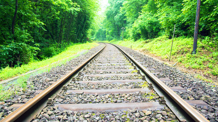Fototapeta premium Gleise im Wald