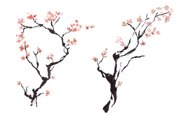 watercolor sakura branch drawn by hand on a white background. For openings, wedding invitations, posters, scrapbooking  © Yevheniia Poli