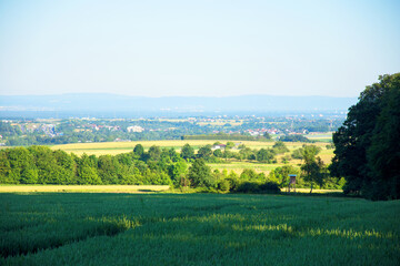 Naklejka premium Sonniges Feld