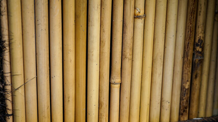 Fototapeta premium bamboo texture