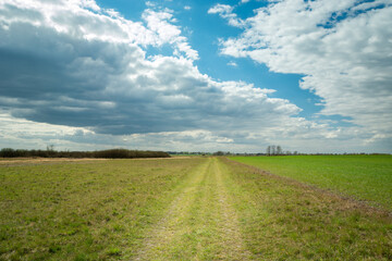 Walk along the road through the meadows