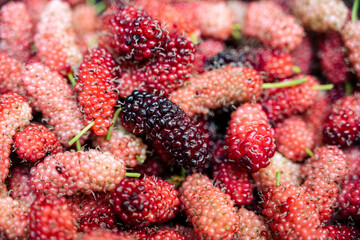 Mulberry, antioxidant, berry, fruit, superfood
