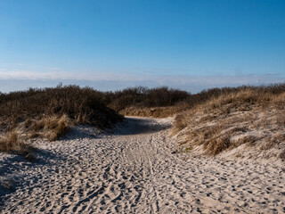 path in the dunes