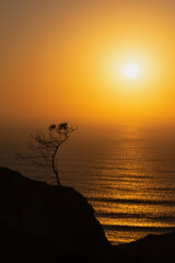 Warm summer sunset on the sea with a silhouette of a tree on a cliff, Colour Photo, Figueira da Foz, Portugal