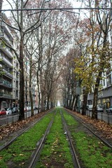 Fototapeta na wymiar 2020.12.20 Milan, Italy, tramway, avenue with tram tracks