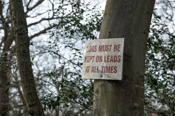 Impromptu Dog Owner warning sign seen attached high up on a forest tree. Due to wild deer and other...