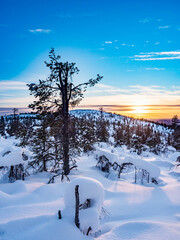 Winter scenery during sunset in snowy Lapland, Finland