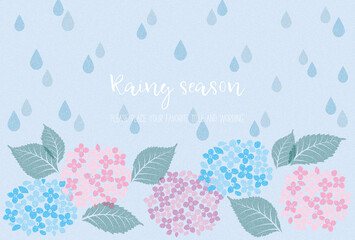 紫陽花と雨で表現した梅雨のイメージ素材
