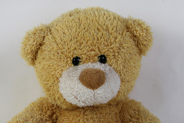 close up head of an very ols teddy bear