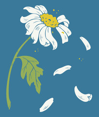 Fototapeta na wymiar Vector illustration of camomile with falling petals. Design for postcard.