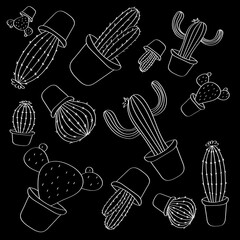 Cacti are drawn with a white outline on a black background, the effect of a blackboard and chalk. Vector one line drawing of succulents.