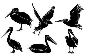 hand drawn silhouette of pelican - obrazy, fototapety, plakaty