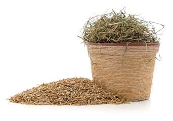 Dry grass in a pot and seeds.
