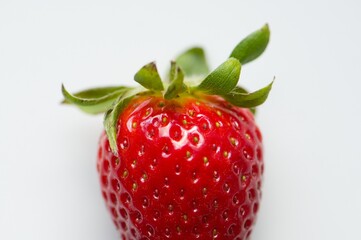 Erdbeere