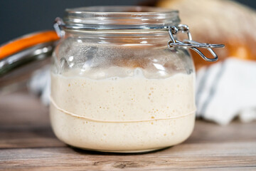 Sourdough starter