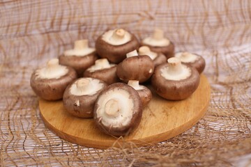 Fototapeta premium mushrooms on a wooden board