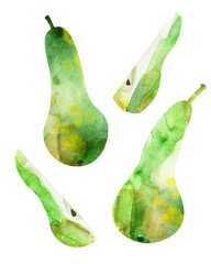 Abstract watercolor fruit illustration, green pears and slices