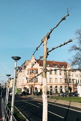 Processed with VSCO with a1 preset