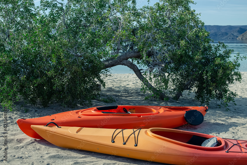 Wall mural Two kayaks on a sandy beach in front of a tree that provides shade.