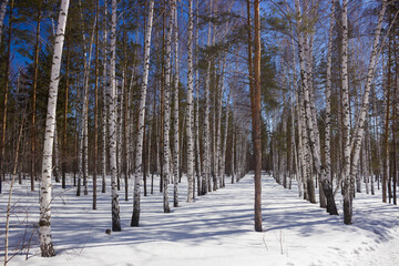 Tsaryov Kurgan, a part of the Volga-Sok Mountain system. A limestone quarry was exploited here once, now it's not in use and protected. Samara Region, Russia.