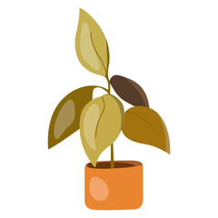 Vector illustration of potted plants