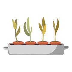 Vector illustration of potted plants