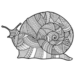 Hand drawn doodle vector outline snail illustration decorated with abstract ornaments for adult coloring book