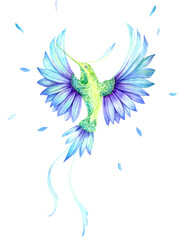 Watercolor illustration of a beautiful tropical hummingbird isolated on a white background
