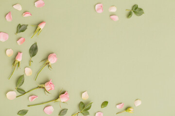 Fototapeta na wymiar pink and white flowers on green paper background