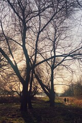 Processed with VSCO with s5 preset