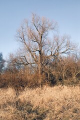 Processed with VSCO with hb1 preset