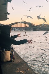 Processed with VSCO with a1 preset