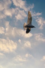 Processed with VSCO with g1 preset